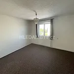 Rent 3 bedroom apartment of 100 m² in Capital City of Prague