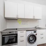 Rent 1 bedroom apartment of 37 m² in Prague