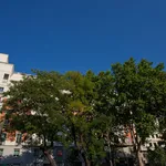 Rent 1 bedroom apartment of 120 m² in Madrid