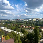 Rent 1 bedroom apartment in Plzeň