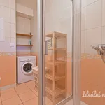 Rent 2 bedroom apartment of 47 m² in Brno