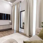 Rent 1 bedroom apartment in vilnius