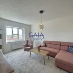 Rent 1 bedroom apartment in Hodonín