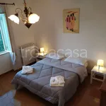 Rent 3 bedroom apartment of 65 m² in Vignanello