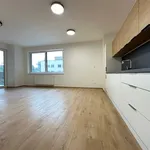 Rent 2 bedroom apartment in Prague