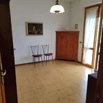 Rent 3 bedroom apartment of 80 m² in Florence