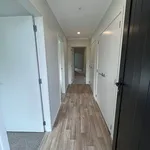 Rent 3 bedroom house in Tauranga