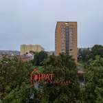 Rent 1 bedroom apartment in Brno