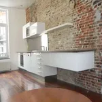 Rent 1 bedroom apartment in brussels