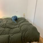 Miete 1 Schlafzimmer wohnung von 48 m² in Frankfurt am Main