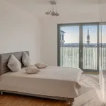 Rent 1 bedroom apartment of 80 m² in Prague