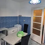 Rent 2 bedroom apartment of 55 m² in Timisoara