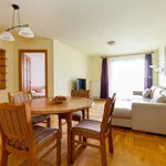 Rent 2 bedroom apartment of 47 m² in Budapest