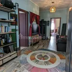 Rent 1 bedroom apartment of 60 m² in Turin