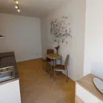 Pronajměte si 1 ložnic/e byt o rozloze 26 m² v Prague