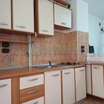 Rent 2 bedroom apartment of 1 m² in Oradea