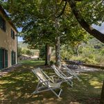 Rent 12 bedroom apartment of 300 m² in Cortona