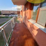 Rent 2 bedroom apartment of 50 m² in Trhový Štěpánov