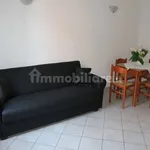 Rent 3 bedroom apartment of 70 m² in Monza