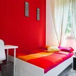 Rent a room of 72 m² in Milan