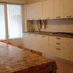 Rent a room in trento