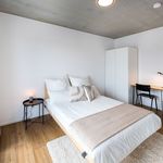 Miete 4 Schlafzimmer wohnung von 13 m² in Frankfurt