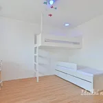 Rent 3 bedroom apartment in Brno