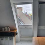 Rent 2 bedroom apartment of 85 m² in berlin