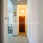 Rent 2 bedroom apartment of 60 m² in Turin