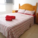 Alquilar 1 dormitorio apartamento en Las Palmas