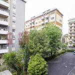 Rent 2 bedroom apartment of 70 m² in Roma