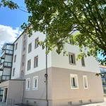 Rent 2 bedroom apartment of 56 m² in Schkeuditz