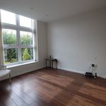 Rent 4 bedroom house in North West England