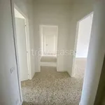 Rent 3 bedroom apartment of 100 m² in Pavia