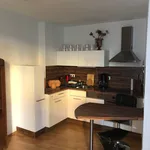 Rent 1 bedroom apartment of 50 m² in Erfurt