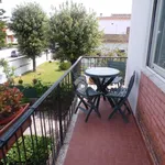 Rent 3 bedroom apartment of 83 m² in Roma