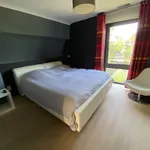 Rent 2 bedroom apartment in Geel