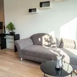 Rent 1 bedroom apartment of 50 m² in berlin