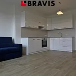 Rent 3 bedroom apartment of 77 m² in Brno