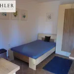 Rent 1 bedroom apartment in Pilsen