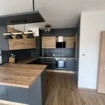 Rent 2 bedroom apartment of 55 m² in Capital City of Prague