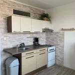 Pronajměte si 1 ložnic/e byt o rozloze 44 m² v Brno