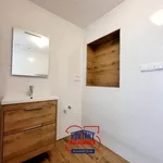 Rent 1 bedroom apartment of 68 m² in České Budějovice