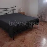 Rent 2 bedroom apartment of 50 m² in Lentini