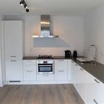 Rent 2 bedroom apartment of 95 m² in Amsterdam