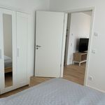 Rent 2 bedroom apartment of 51 m² in München