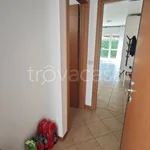 Rent 1 bedroom apartment of 48 m² in San Fermo della Battaglia