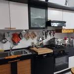 Rent 5 bedroom apartment of 113 m² in Padua