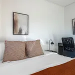 Rent 3 bedroom apartment of 74 m² in Madrid