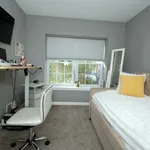 Rent 2 bedroom apartment in Somerset